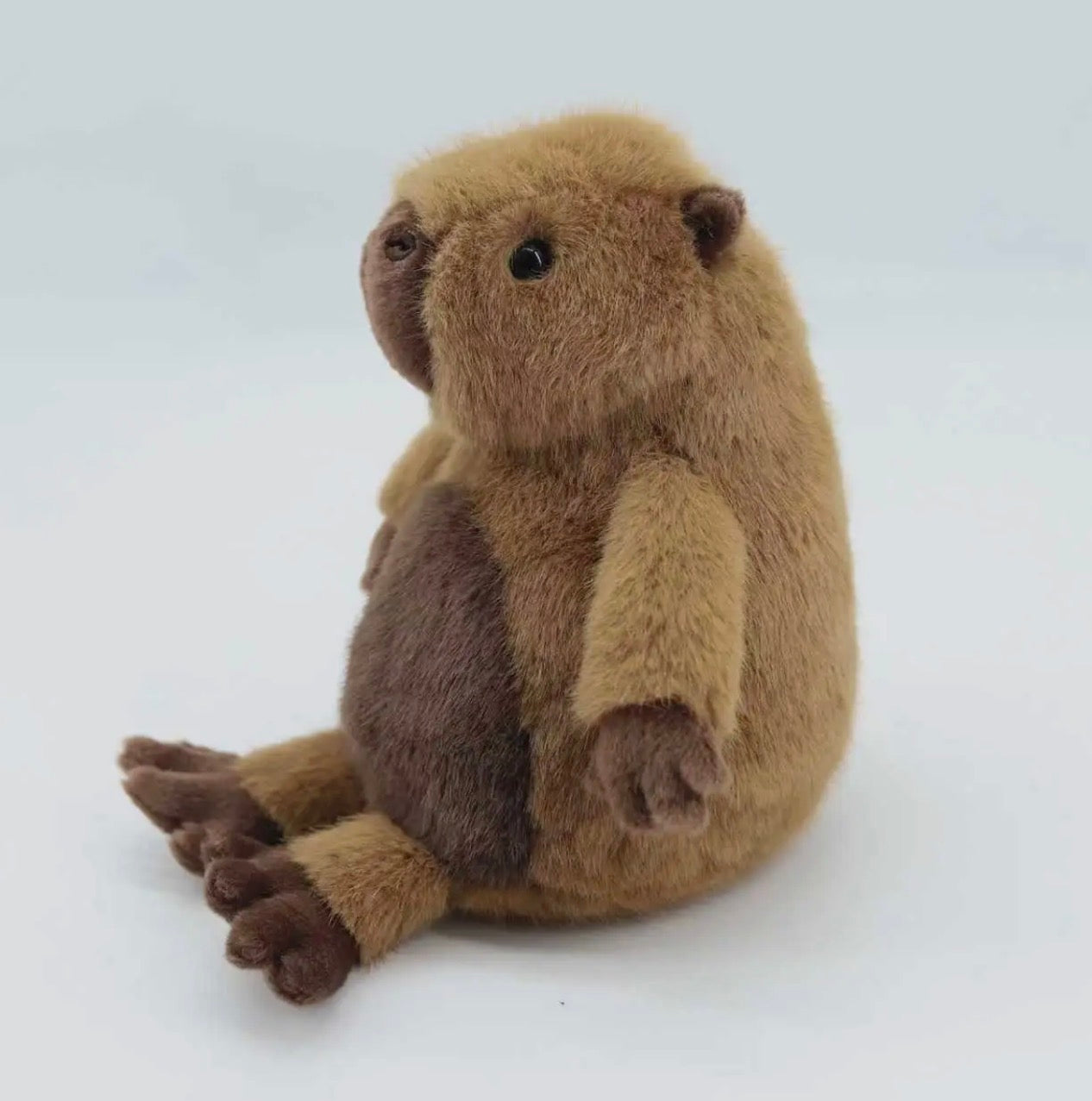 Capybara super soft toy plushie 20cm