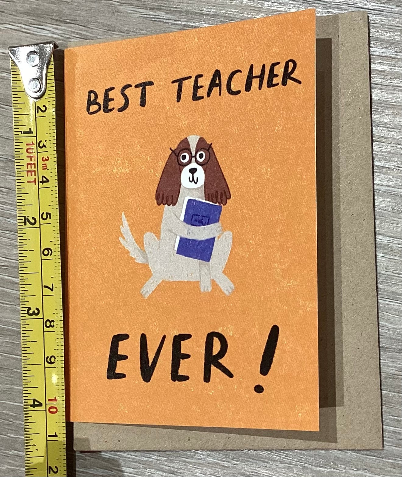 Best teacher ever! By dandelion stationary