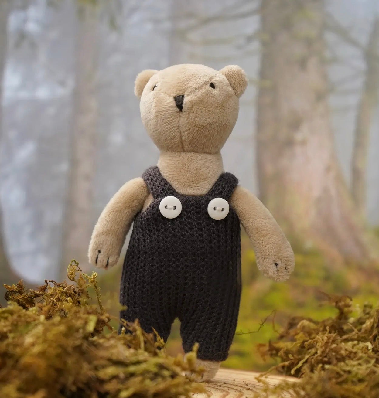 Billy Bear - Travelling boxed bear