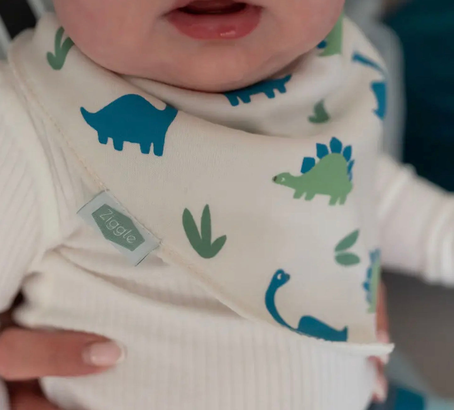 Dinosaur Bandanna Bib