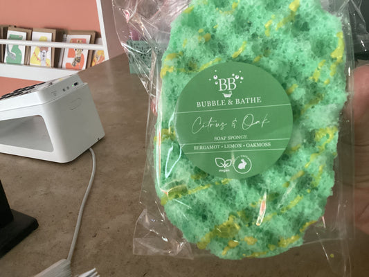 Soap Sponge - Citrus & Oak