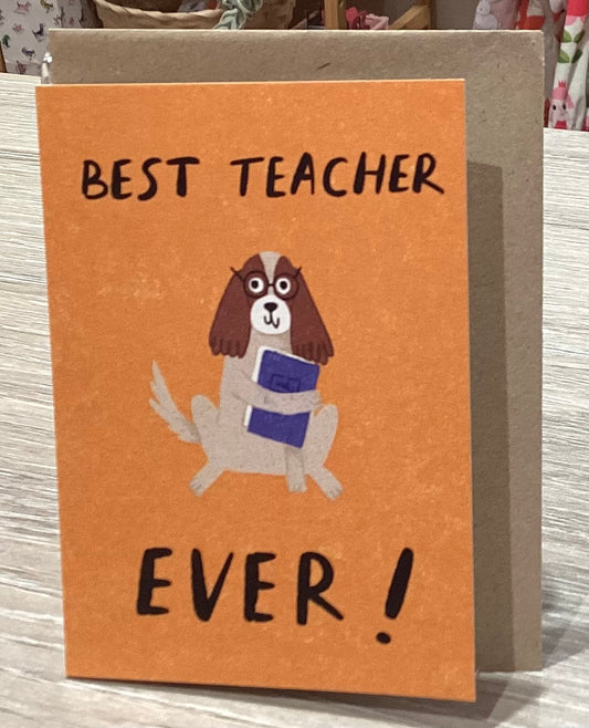 Best teacher ever! By dandelion stationary