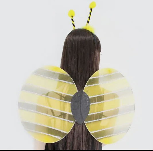 Dress up Bee Wings - children’s